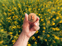 Green crypto