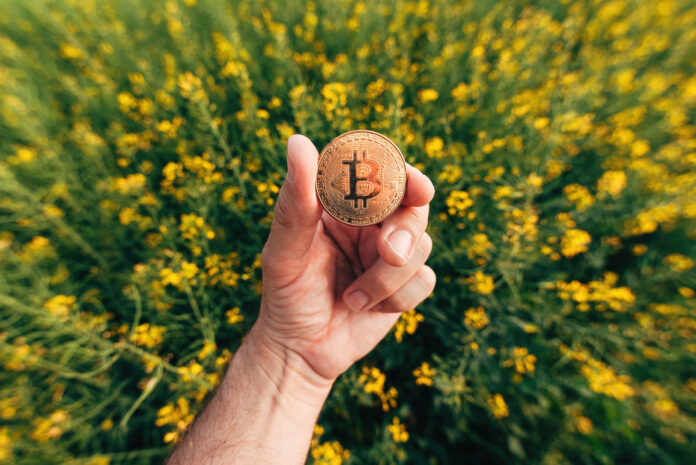 Green crypto